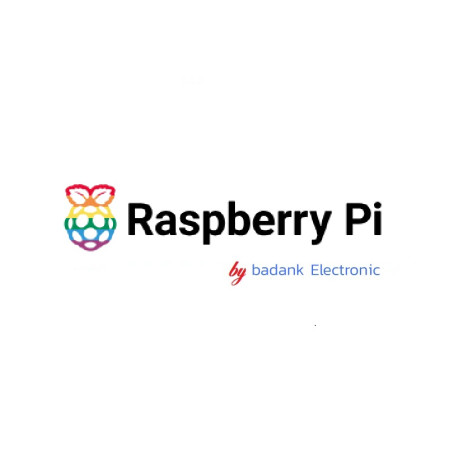 CUSTOM ORDER  Raspberry Pi  badank Electronic