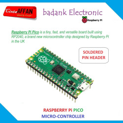 Raspberry Pi PICO (with soldered pin header)
