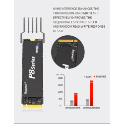 256GB SSD NVMe M.2 M-Key PCIe Gen3x4 Form Factor 2280