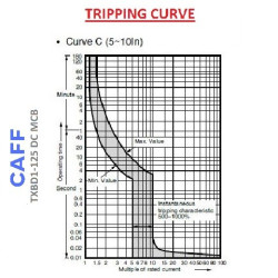 CAFF MCB DC C100 100A 1000V 2P Circuit Breaker Solar PV Panel Surya PLTS